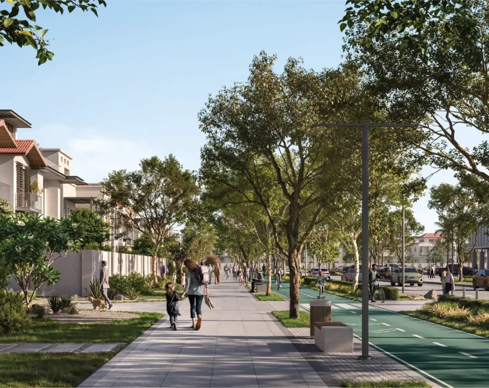 Wadeem - School View